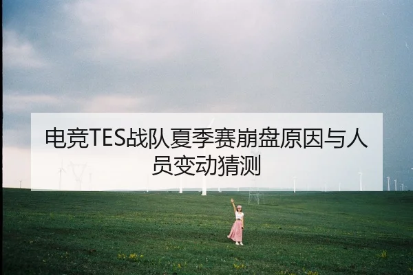 电竞TES战队夏季赛崩盘原因与人员变动猜测